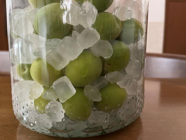 夏休みに仕上げ磨き、仕上げチェックを定着させよう